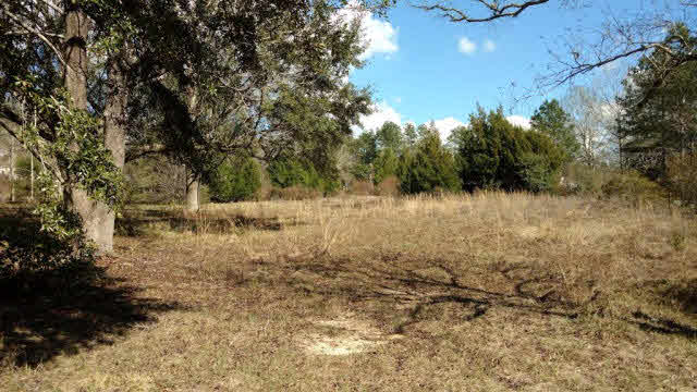 24217 County Road 87 Robertsdale, AL 36567 - Photo 3 of 6