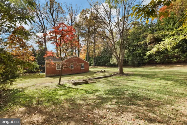 a view of a tree with a yard
