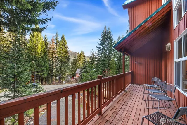 a view of a forest with trees in the background