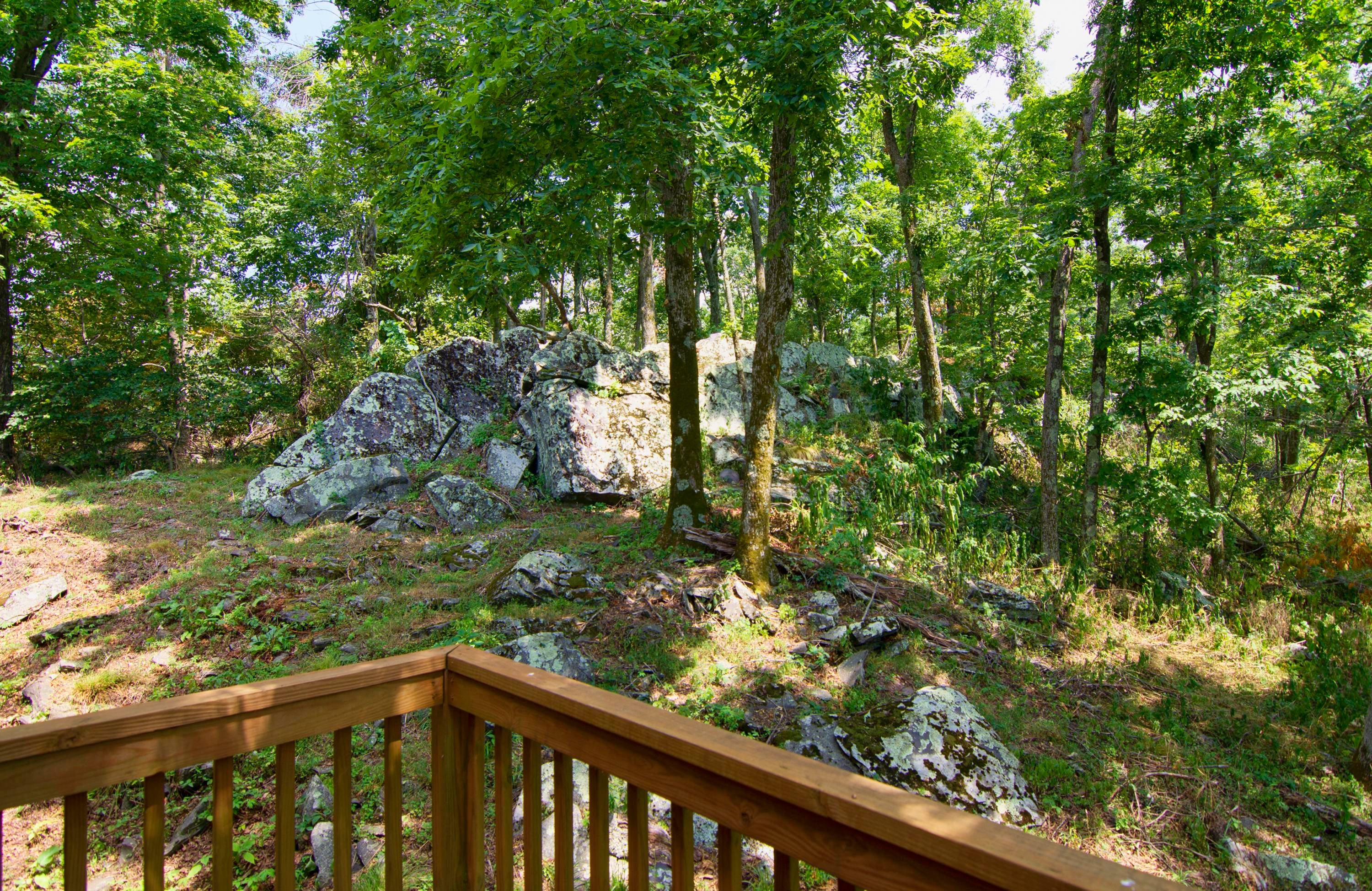 1727 Limestone Hill Road Gap Mills, WV 24941 - Photo 35 of 107 Gallery Image 35