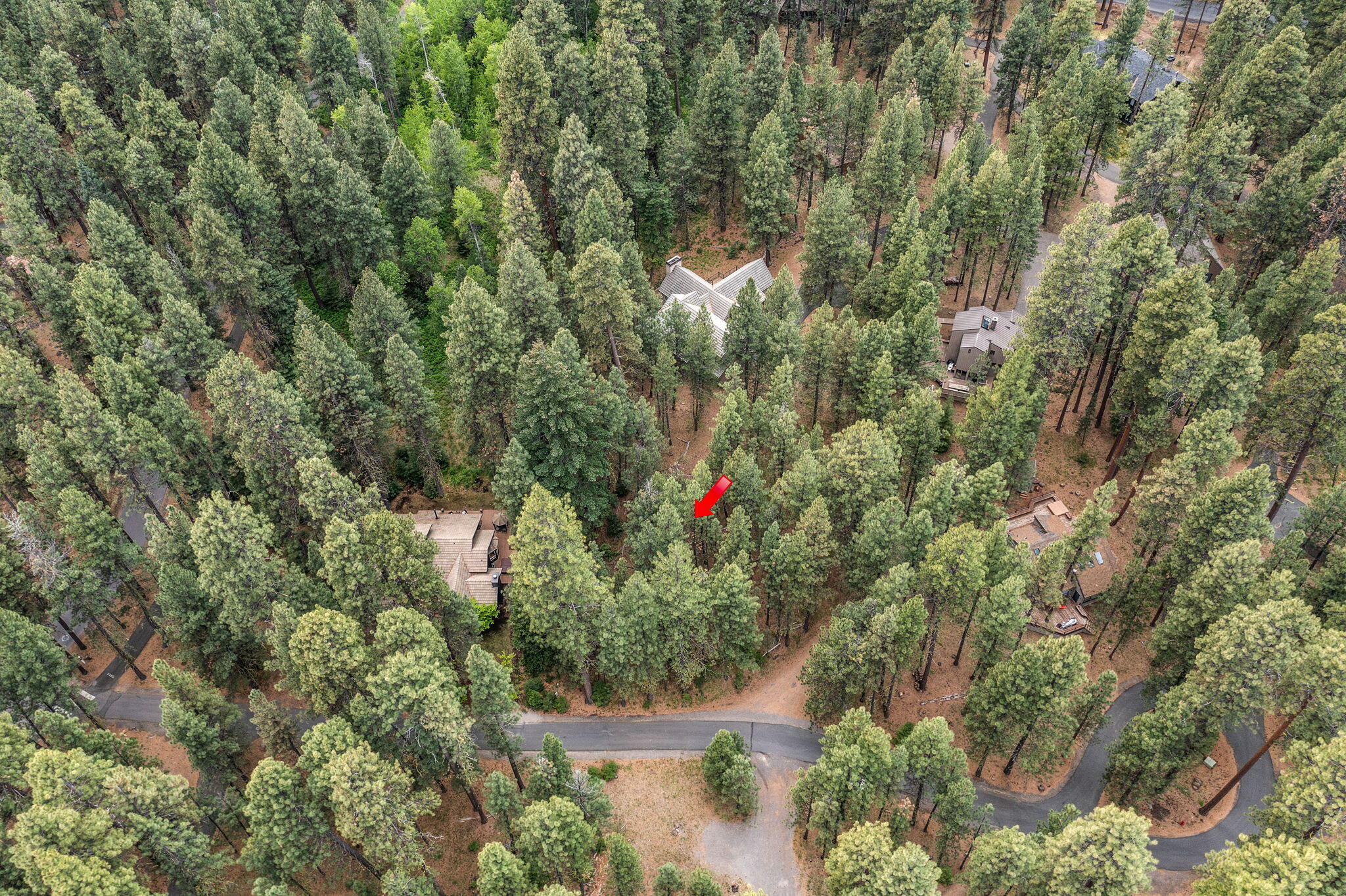 Undisclosed Address Black Butte Ranch, OR 97759 - Photo 20 of 24 a view of a garden with plants and large trees