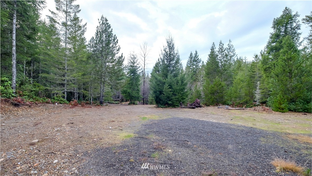 201 Northeast Dewatto Road Tahuya, WA 98588 - Photo 3 of 18 Gallery Image 3