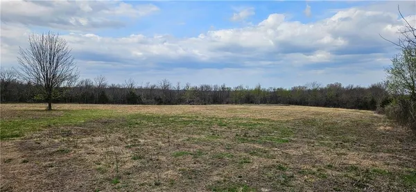 $250,000 | 0 South State Route, Drexel, MO 64742
