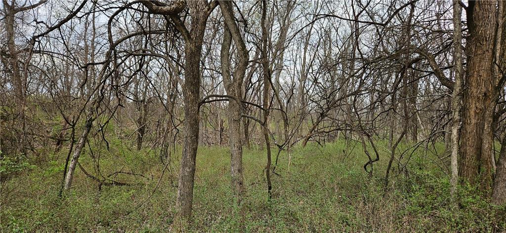 0 South State Route Drexel, MO 64742 - Photo 11 of 34