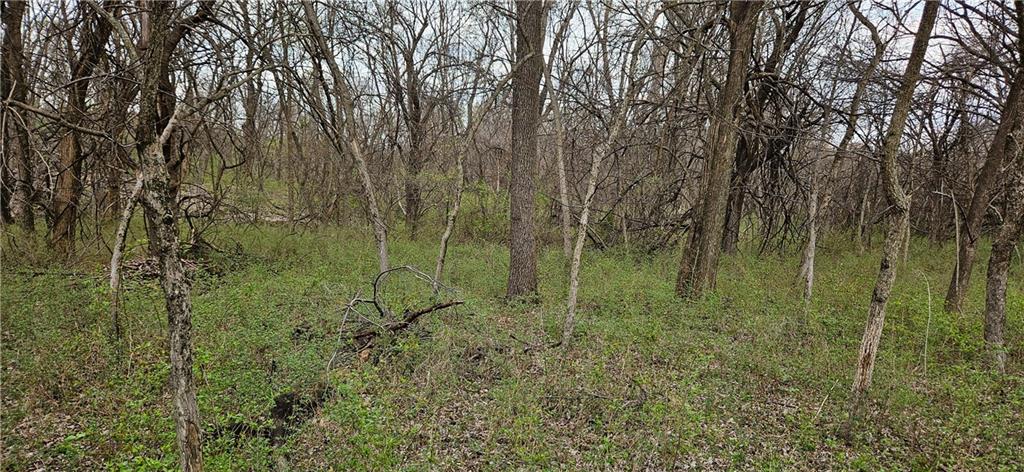 0 South State Route Drexel, MO 64742 - Photo 12 of 34