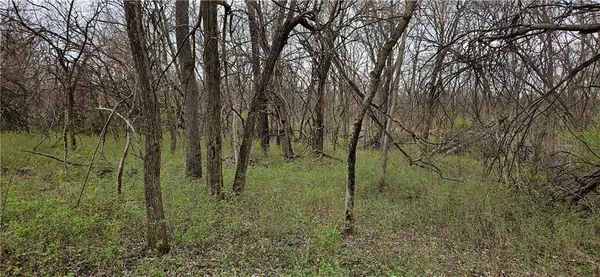 $250,000 | 0 South State Route, Drexel, MO 64742