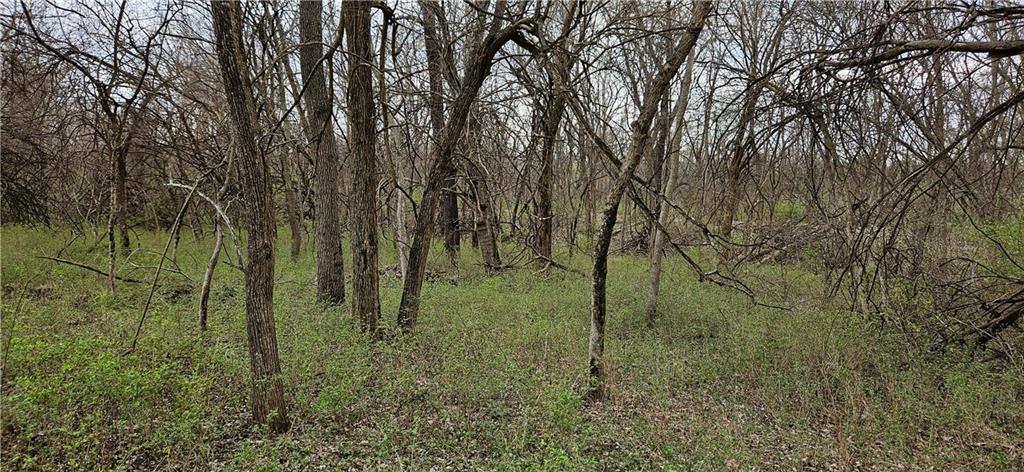 0 South State Route Drexel, MO 64742 - Photo 13 of 34