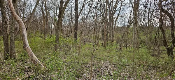 $250,000 | 0 South State Route, Drexel, MO 64742