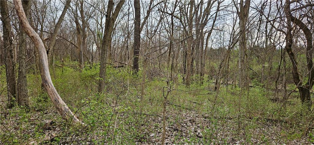 0 South State Route Drexel, MO 64742 - Photo 14 of 34