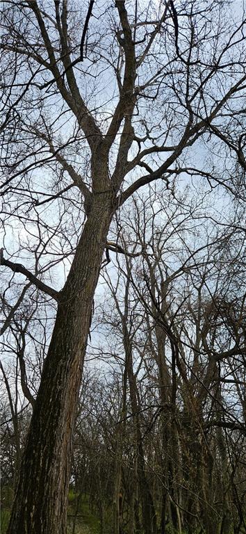 0 South State Route Drexel, MO 64742 - Photo 15 of 34