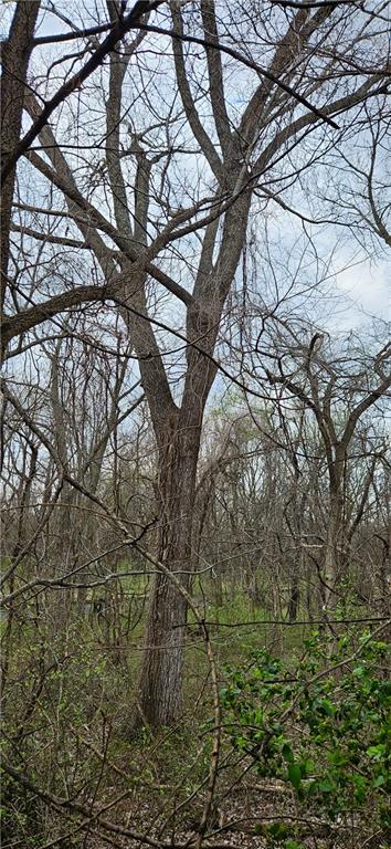 0 South State Route Drexel, MO 64742 - Photo 16 of 34