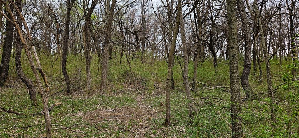 0 South State Route Drexel, MO 64742 - Photo 17 of 34