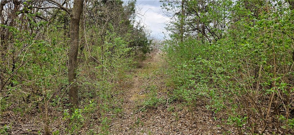 0 South State Route Drexel, MO 64742 - Photo 18 of 34