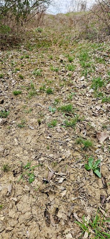 0 South State Route Drexel, MO 64742 - Photo 19 of 34