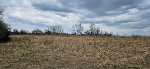 $250,000 | 0 South State Route, Drexel, MO 64742