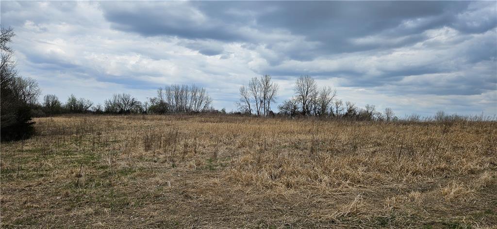 0 South State Route Drexel, MO 64742 - Photo 20 of 34