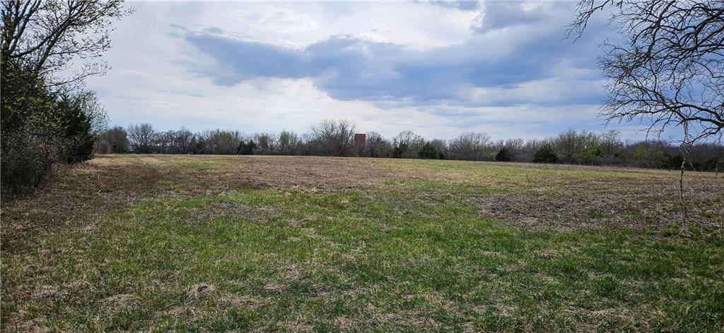 0 South State Route Drexel, MO 64742 - Photo 2 of 34