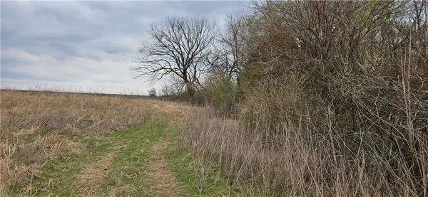 $250,000 | 0 South State Route, Drexel, MO 64742