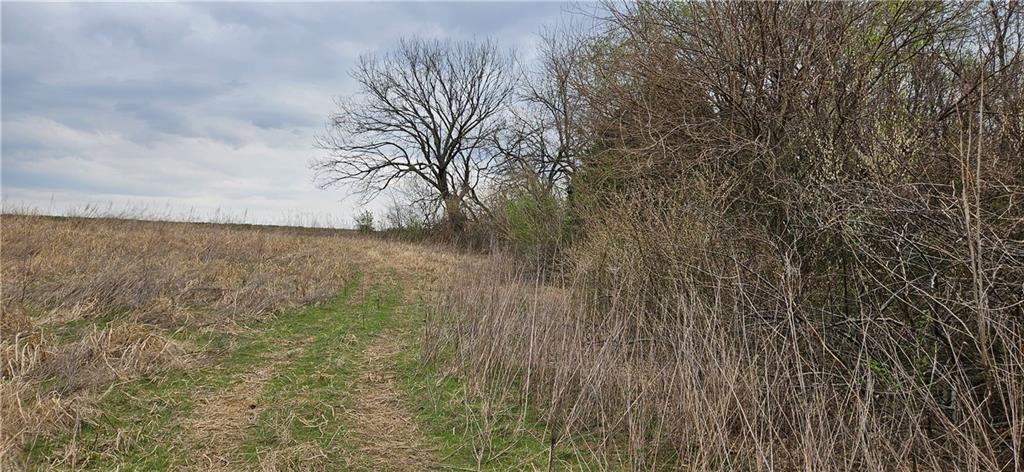 0 South State Route Drexel, MO 64742 - Photo 21 of 34