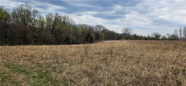 $250,000 | 0 South State Route, Drexel, MO 64742