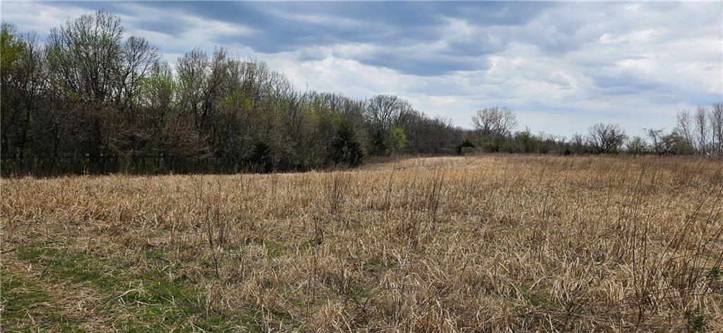 0 South State Route Drexel, MO 64742 - Photo 22 of 34