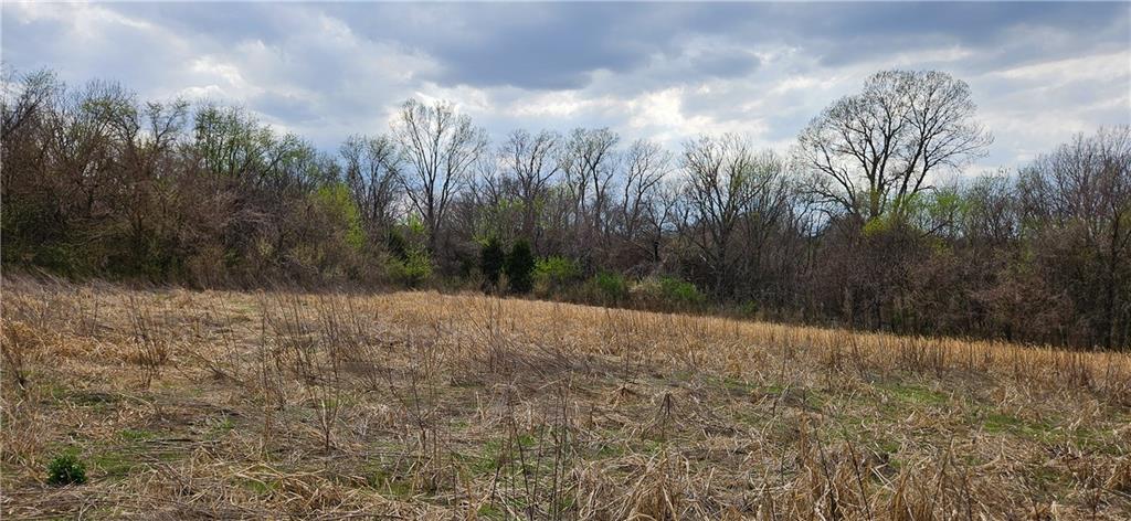 0 South State Route Drexel, MO 64742 - Photo 23 of 34