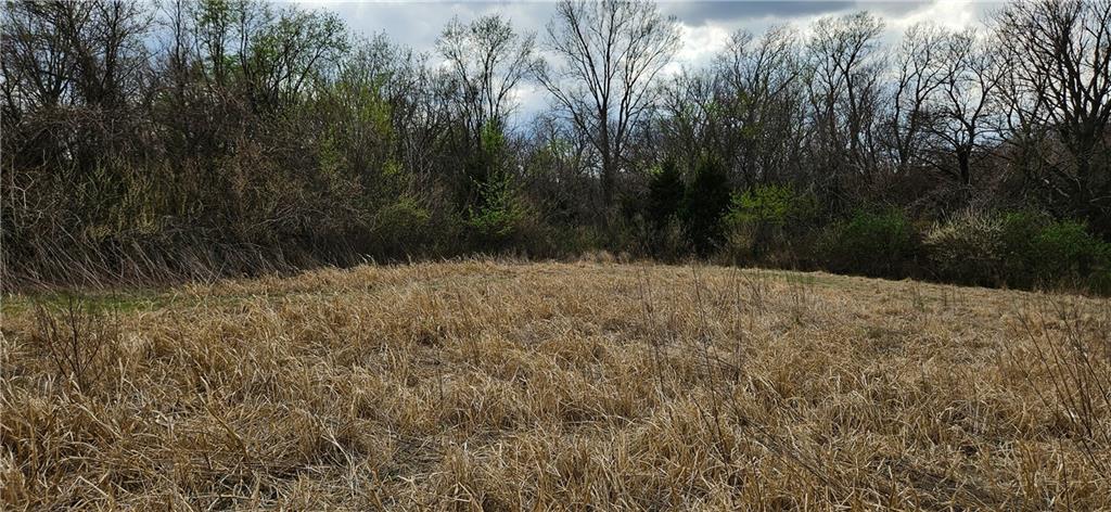 0 South State Route Drexel, MO 64742 - Photo 24 of 34