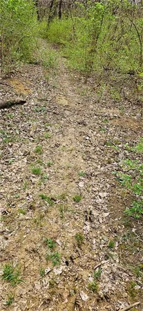 $250,000 | 0 South State Route, Drexel, MO 64742