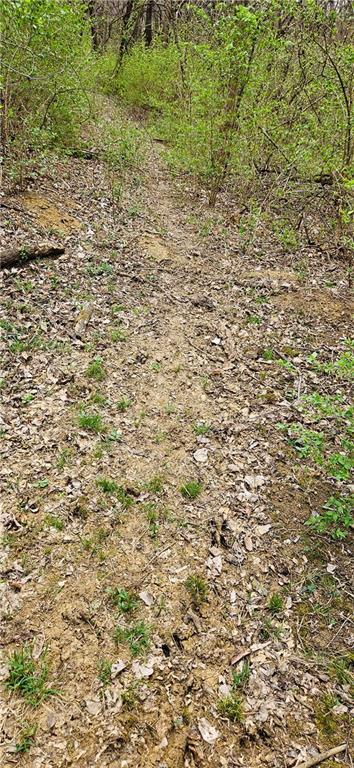 0 South State Route Drexel, MO 64742 - Photo 25 of 34