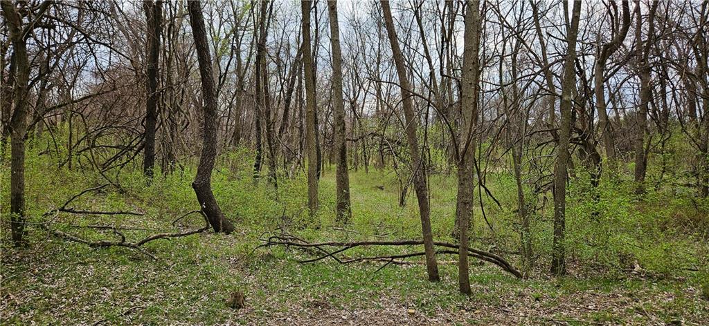 0 South State Route Drexel, MO 64742 - Photo 26 of 34