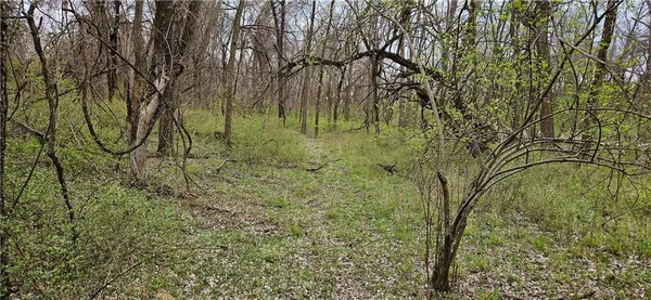 $250,000 | 0 South State Route, Drexel, MO 64742