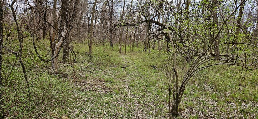 0 South State Route Drexel, MO 64742 - Photo 27 of 34