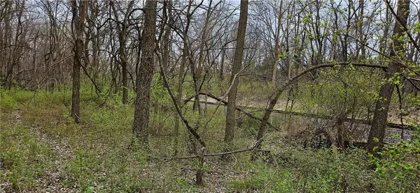 $250,000 | 0 South State Route, Drexel, MO 64742