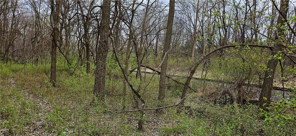 0 South State Route Drexel, MO 64742 - Photo 28 of 34