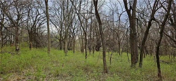 $250,000 | 0 South State Route, Drexel, MO 64742