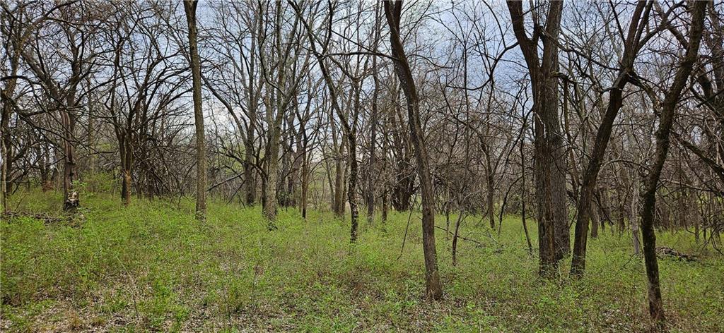 0 South State Route Drexel, MO 64742 - Photo 29 of 34