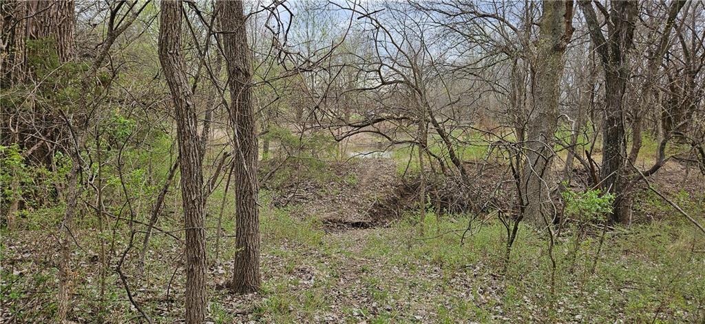 0 South State Route Drexel, MO 64742 - Photo 30 of 34