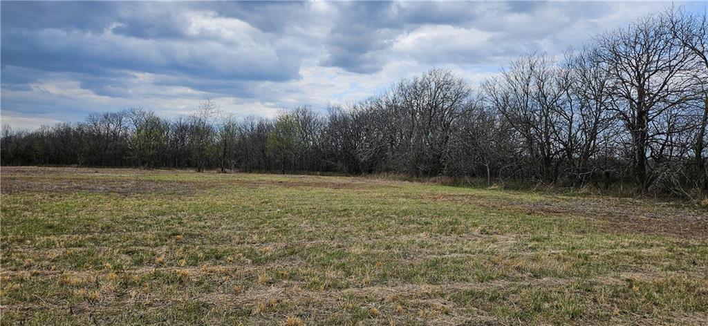 0 South State Route Drexel, MO 64742 - Photo 3 of 34