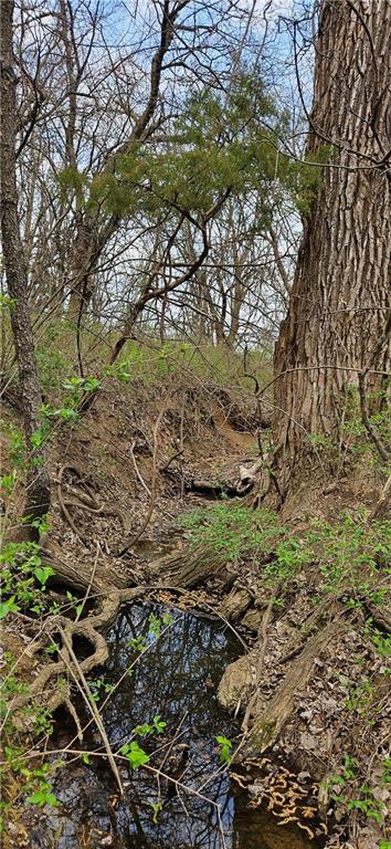 0 South State Route Drexel, MO 64742 - Photo 31 of 34