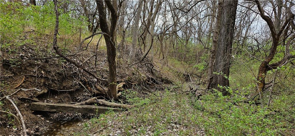 0 South State Route Drexel, MO 64742 - Photo 32 of 34