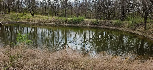 $250,000 | 0 South State Route, Drexel, MO 64742