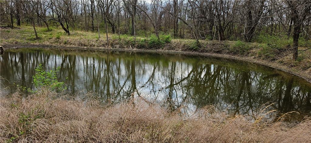 0 South State Route Drexel, MO 64742 - Photo 33 of 34