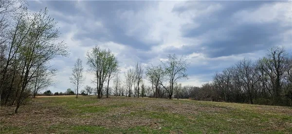 $250,000 | 0 South State Route, Drexel, MO 64742