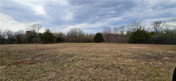 $250,000 | 0 South State Route, Drexel, MO 64742