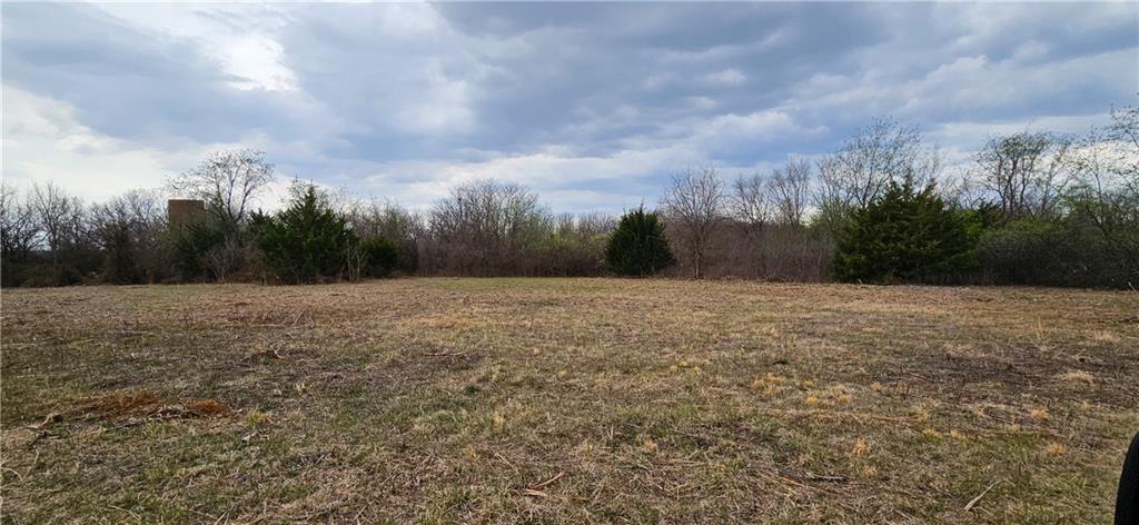 0 South State Route Drexel, MO 64742 - Photo 4 of 34