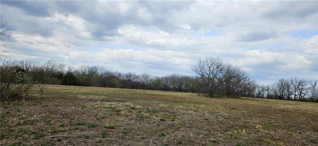 0 South State Route Drexel, MO 64742 - Photo 5 of 34