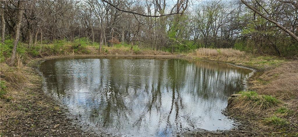 0 South State Route Drexel, MO 64742 - Photo 6 of 34