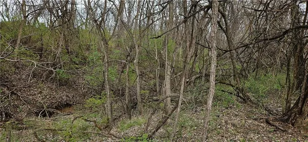 $250,000 | 0 South State Route, Drexel, MO 64742