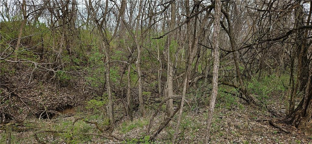 0 South State Route Drexel, MO 64742 - Photo 8 of 34