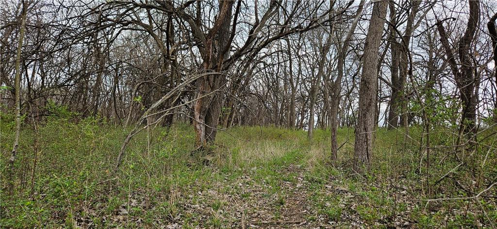 0 South State Route Drexel, MO 64742 - Photo 10 of 34